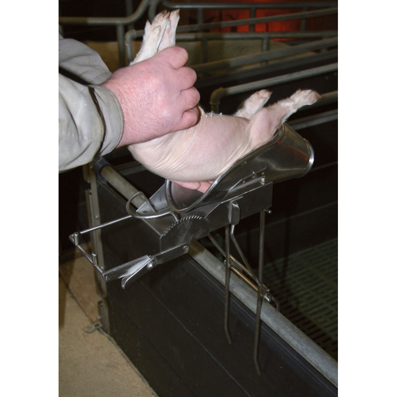 Castreerapparaat voor biggen 2-9 dagen, rvs, z. houder - 22818