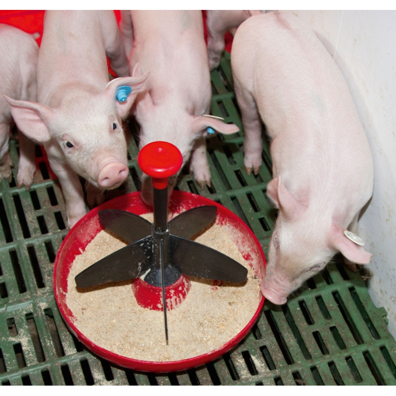 Mangeoire MINI-Piglet pour porcelets 2litres - 22888