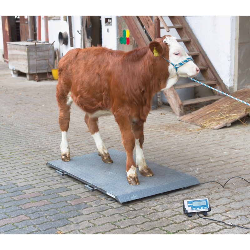 Dierenweegschaal PS2000 tot 1000kg - 291311