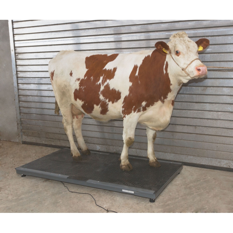 Dierenweegschaal PS3000 tot 1500 kg - 291312