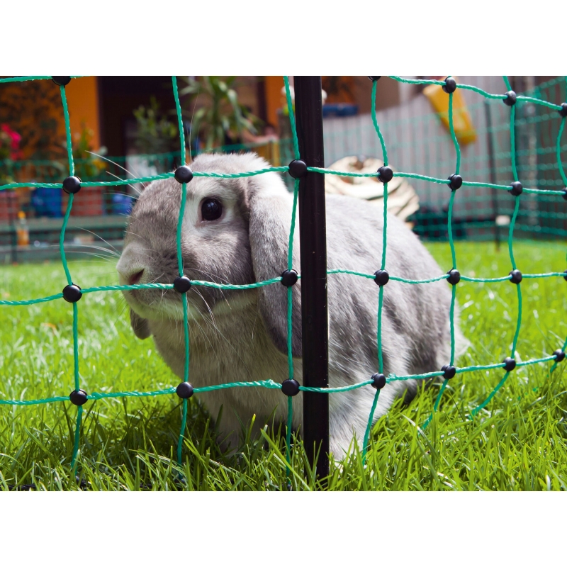 Filet lapin 65cm, simple pointe, vert, 12m - 292209