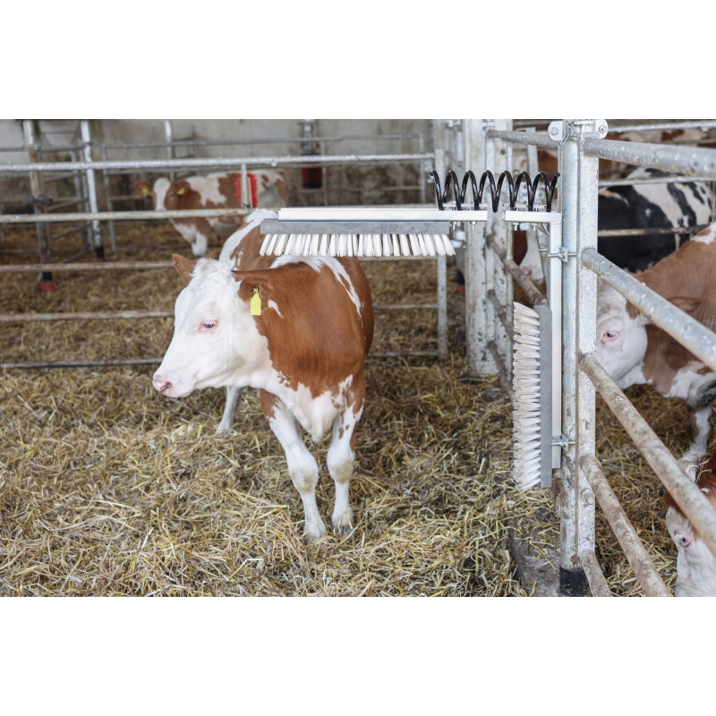 Veeborstel "TEXAS" - 29310