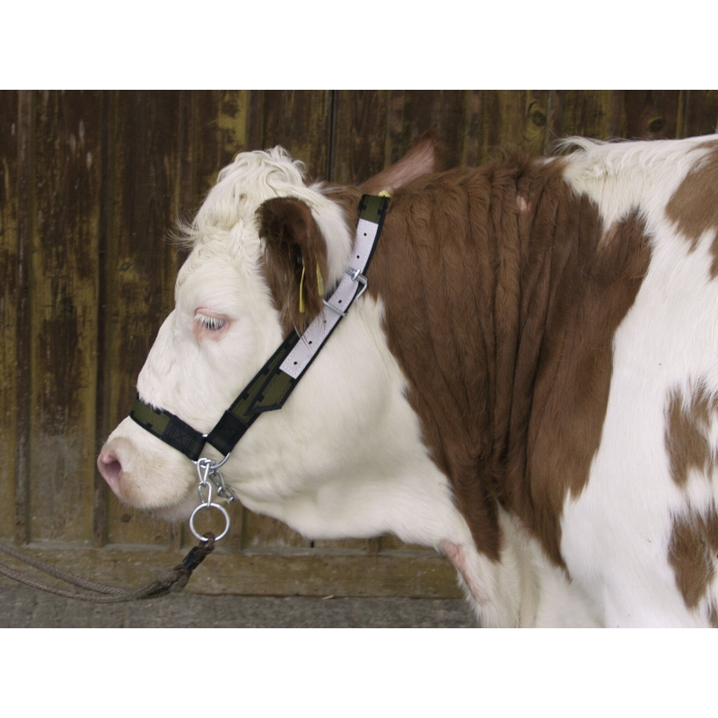 Licol pour vaches en Trévira  avec chaîne jugulaire + anneau - 125010
