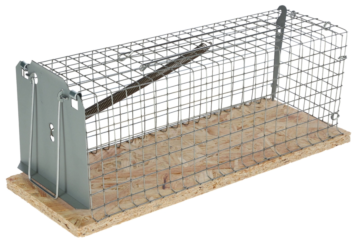 Rattenval draadkooivormig ratcage 1 ingang - kerbl | Webshop Agrodieren