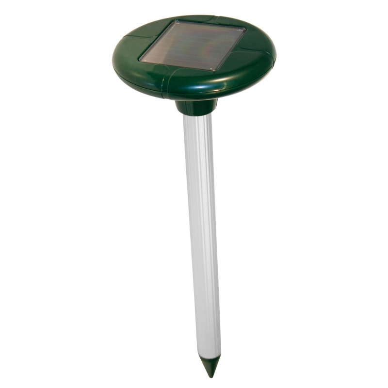 Pulsar Solar - 299871