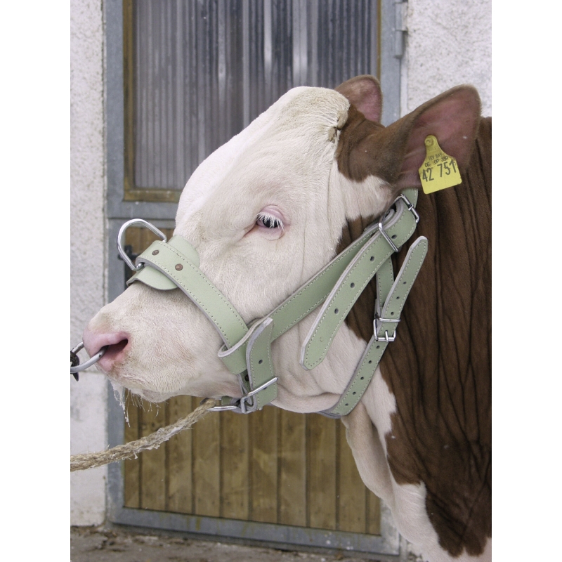 Licol pour taureaux - 12510