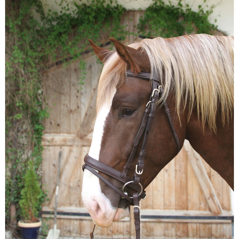 Bridon cheval de trait brun - 321179