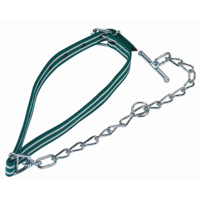 Attache cplète + chaîne verte avec maillon ovale 85x4cm - 12530