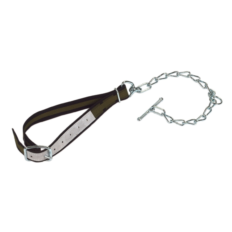 Attache avec collier 100x4cm  et cha&icirc;ne virole anneau D 6mm - 125303