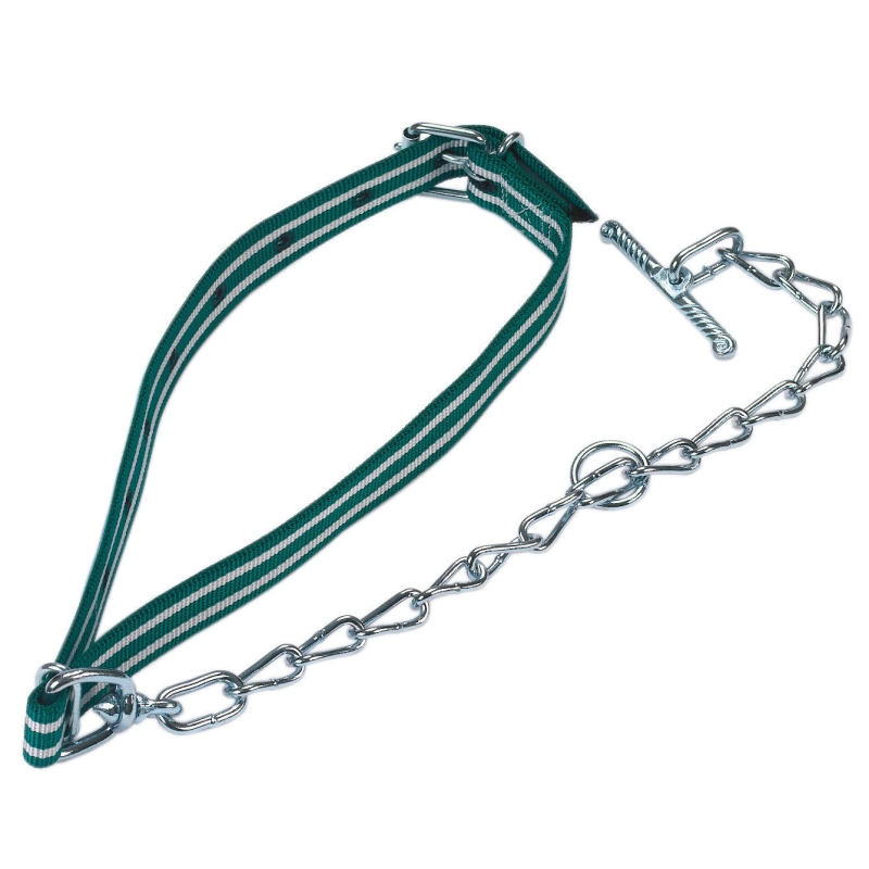 Attache veau complet 100x4cm avec collier et cha&icirc;ne - 125305
