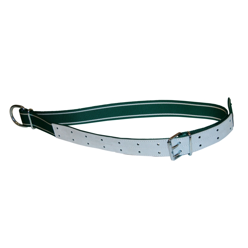 Halsb.groen/wit,150x5cm met ovalen lid en D-ring - 125307