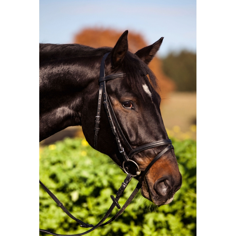 Trenshoofdstel standaard - Leder voor shetty, zwart - 321713