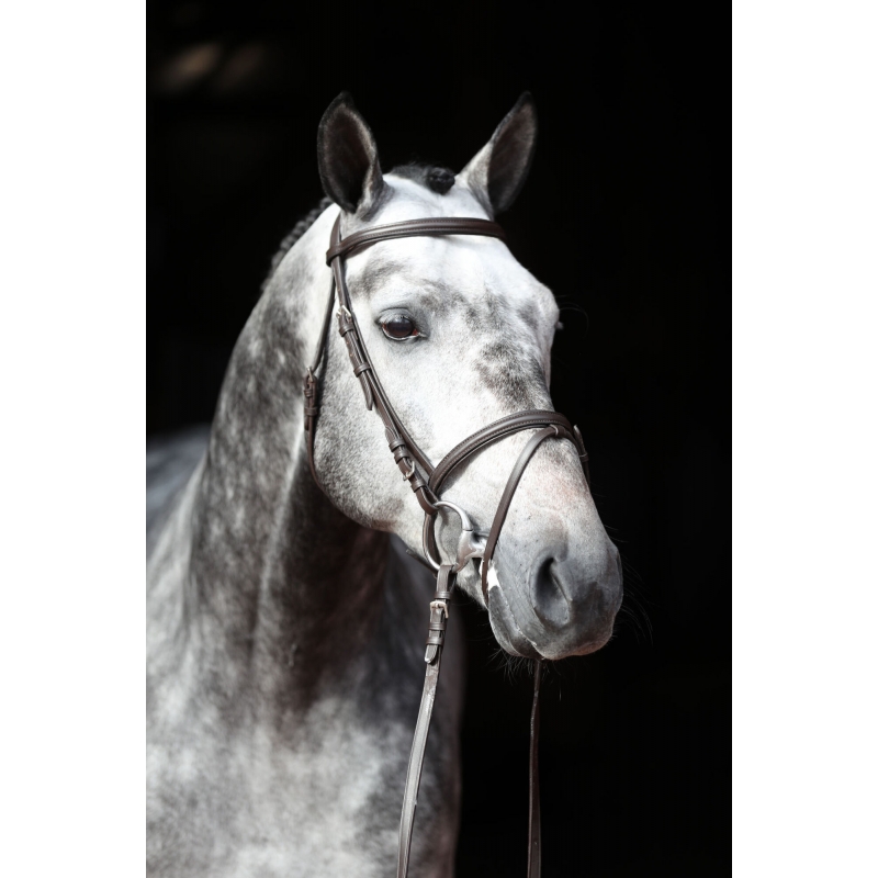 Trenshoofdstel standaard leder - voor shetty, bruin - 321714