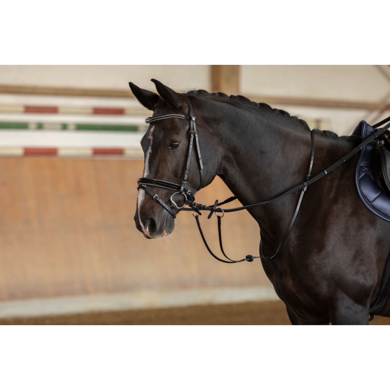 Martigale &agrave; anneaux cuir, noir, full - 321754