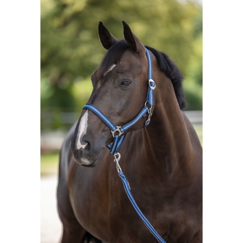 Nylonhalster Hippo, maat 00 - marine/lichtblauw - 321903