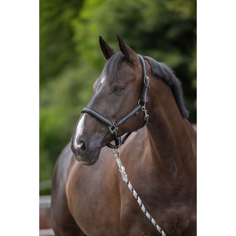 Licol Mustang noir-argent, pony - 321960