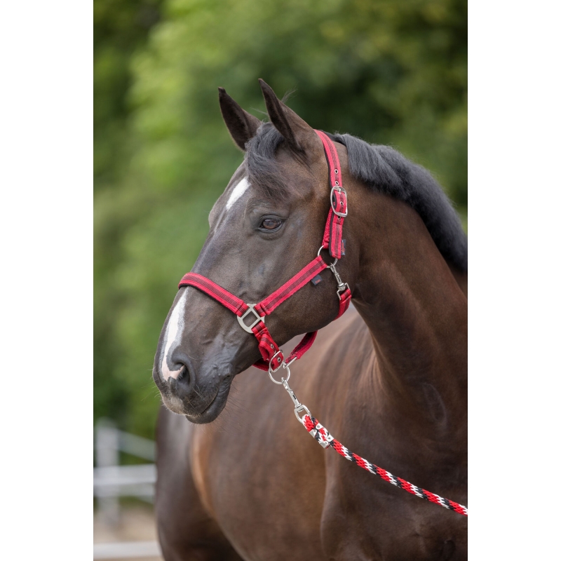 Licol Mustang rouge-noir, pony - 321961