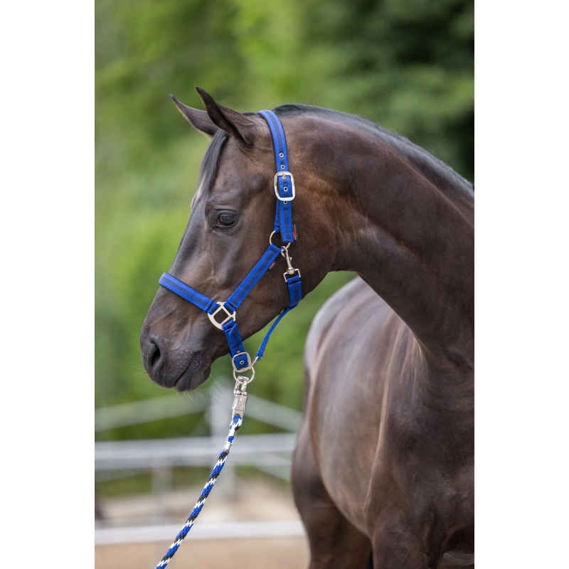 Halster Mustang, maat 1 - 2voud. verstelb., blauw/zwart - 321962