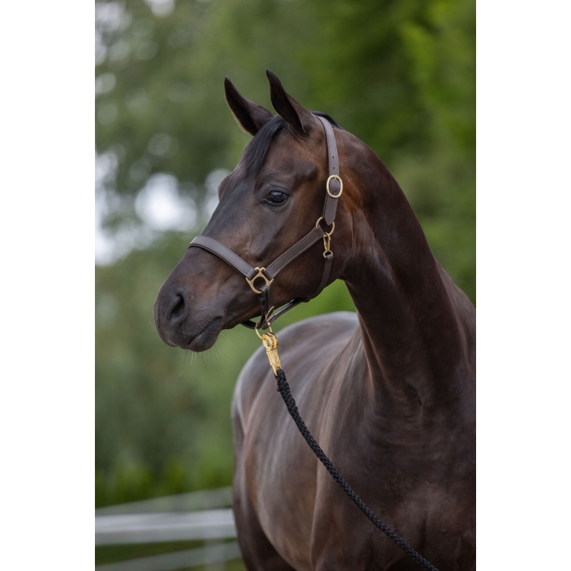 Halster Eco, warmbloed, leder - bruin - 32267