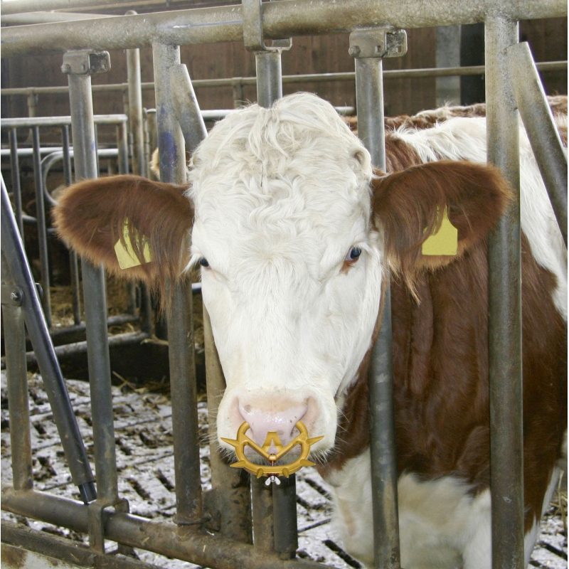 Anti-t&ecirc;teur "M&uuml;ller2010" moyen  orange - 13151