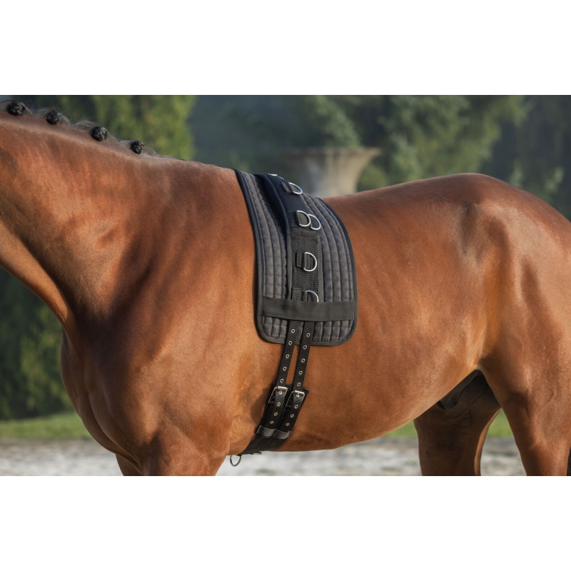 Longeerlijn nylon, 9 ringen - pony, verstelbare buikriem - 32354