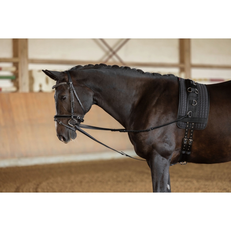 R&ecirc;nes viennoises noir, pony - 323597