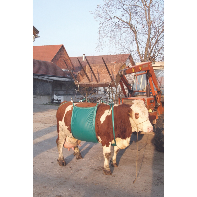 Koelift - 1066