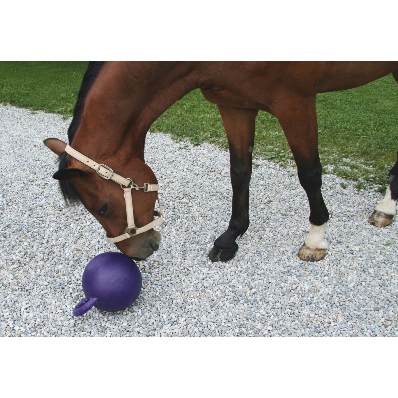 Balle à jouer chevaux 25cm, violet, menthe - 32389