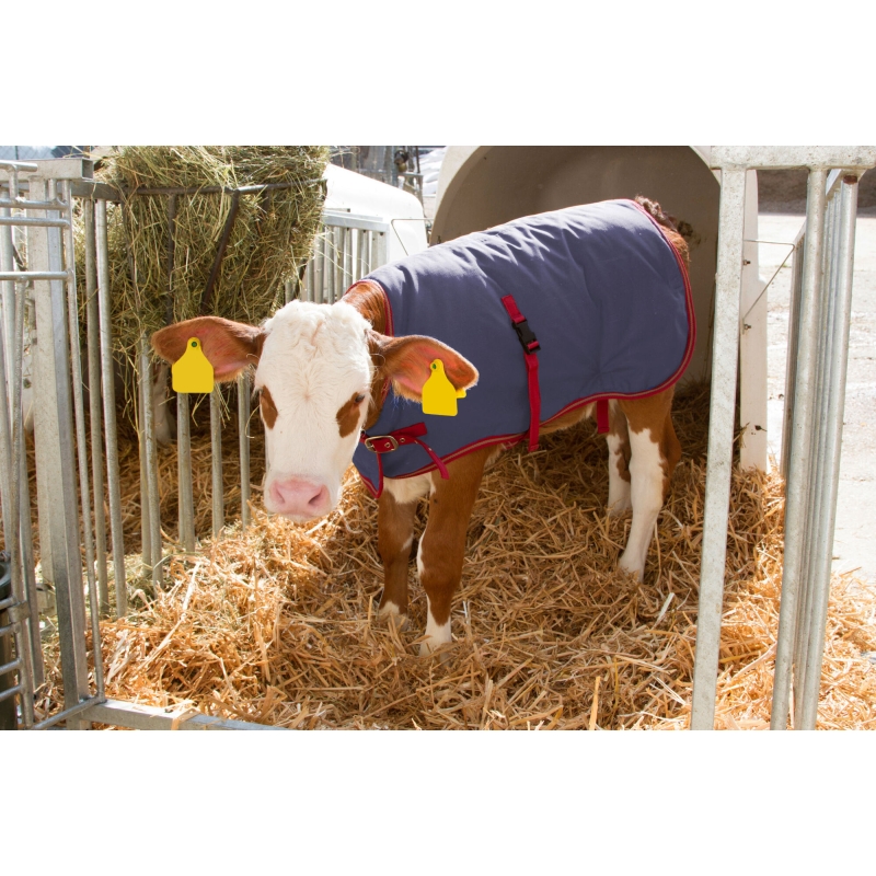 Couverture pour veau Thermoplus 80cm - 14149