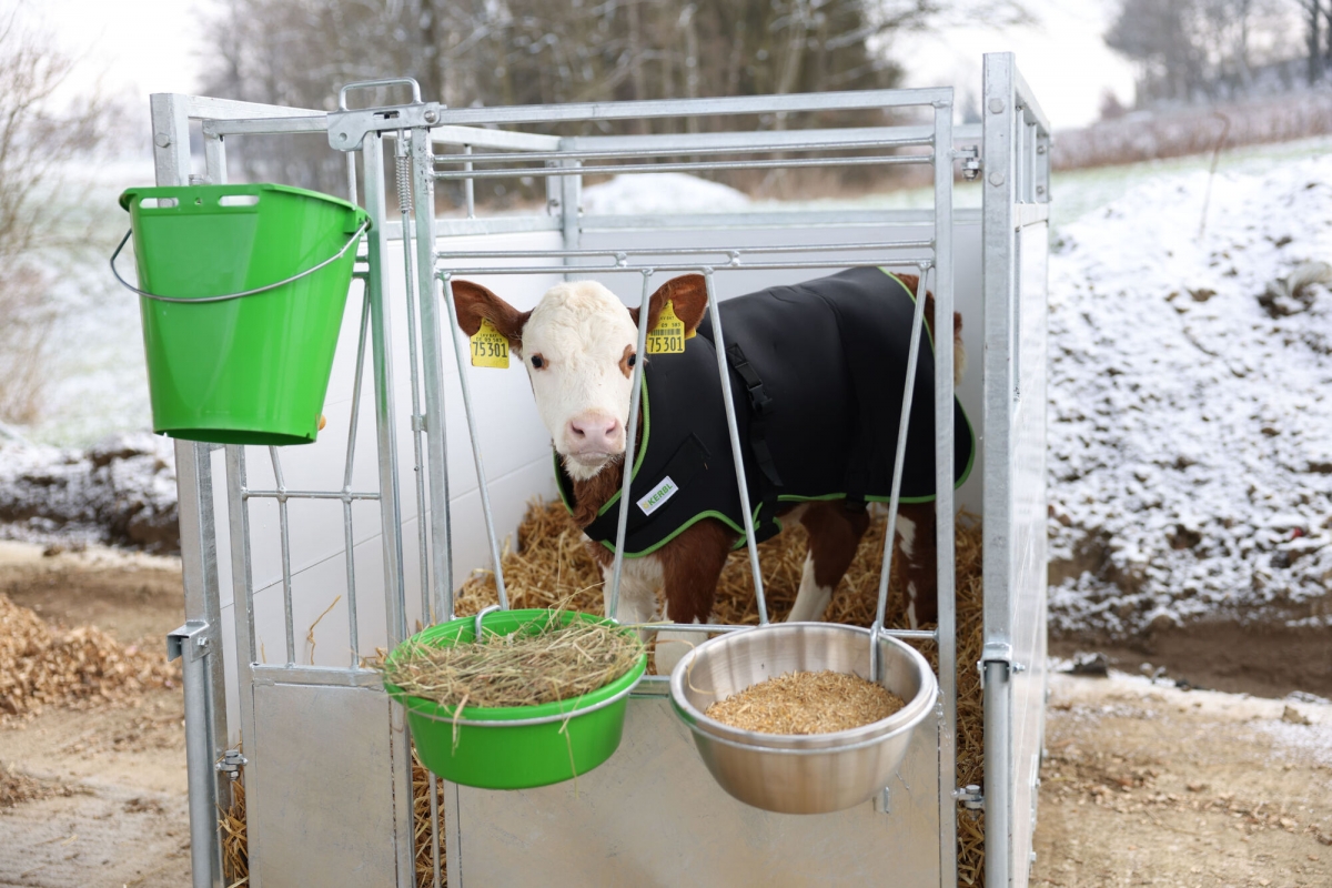 Calf blanket Premium 70 cm, black Agrodieren