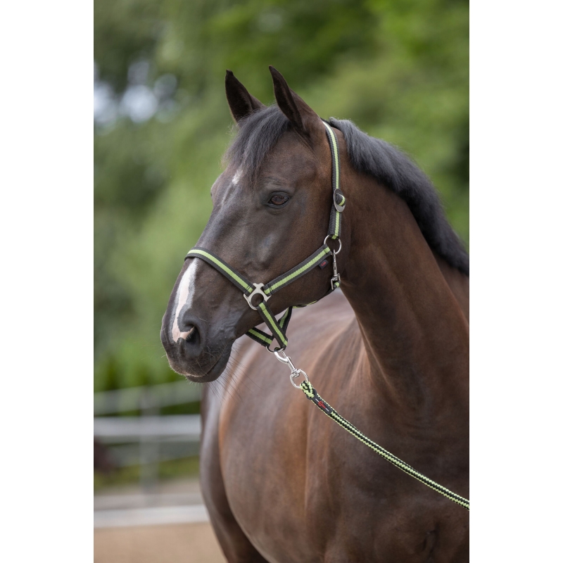 Nylonhalster Hippo, maat 00 - antraciet/lemon - 325902