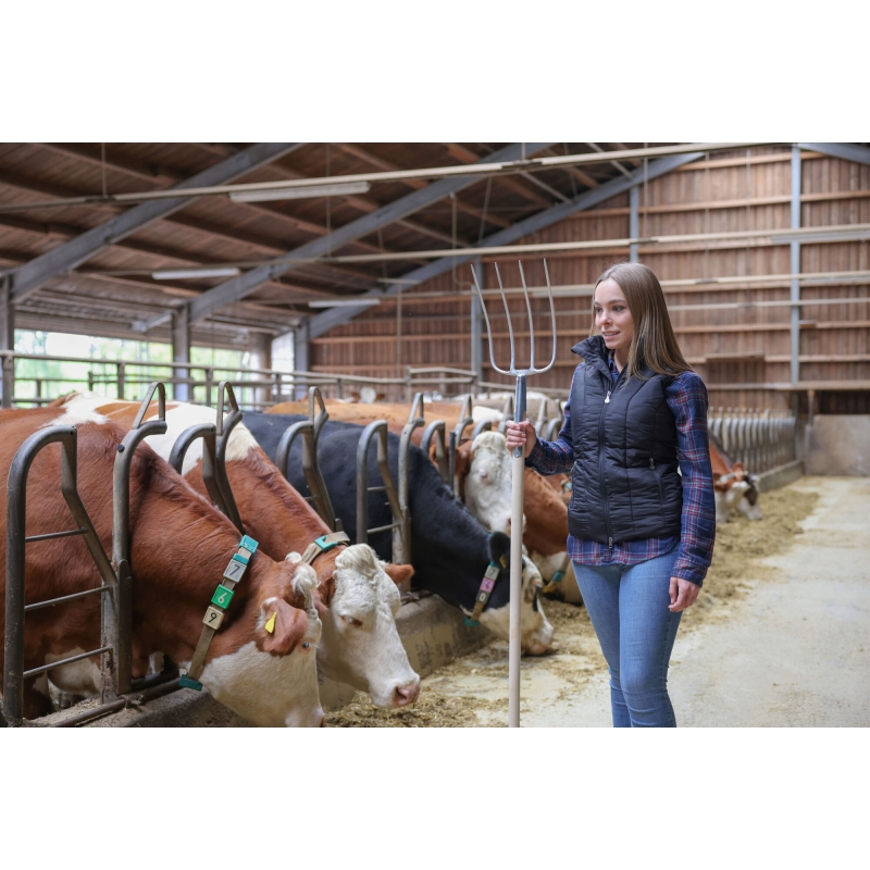 Actie-mestvork met steel (in de was gezette essensteel) 4t. - 50400