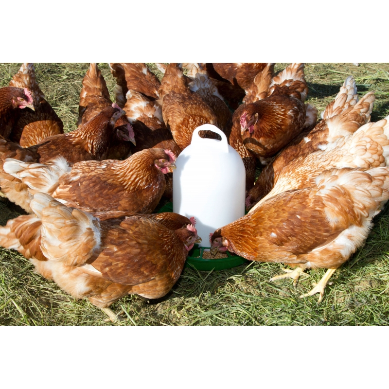 Nourrisseur &agrave; tr&eacute;mie PVC pour volaille 4kg - 70264