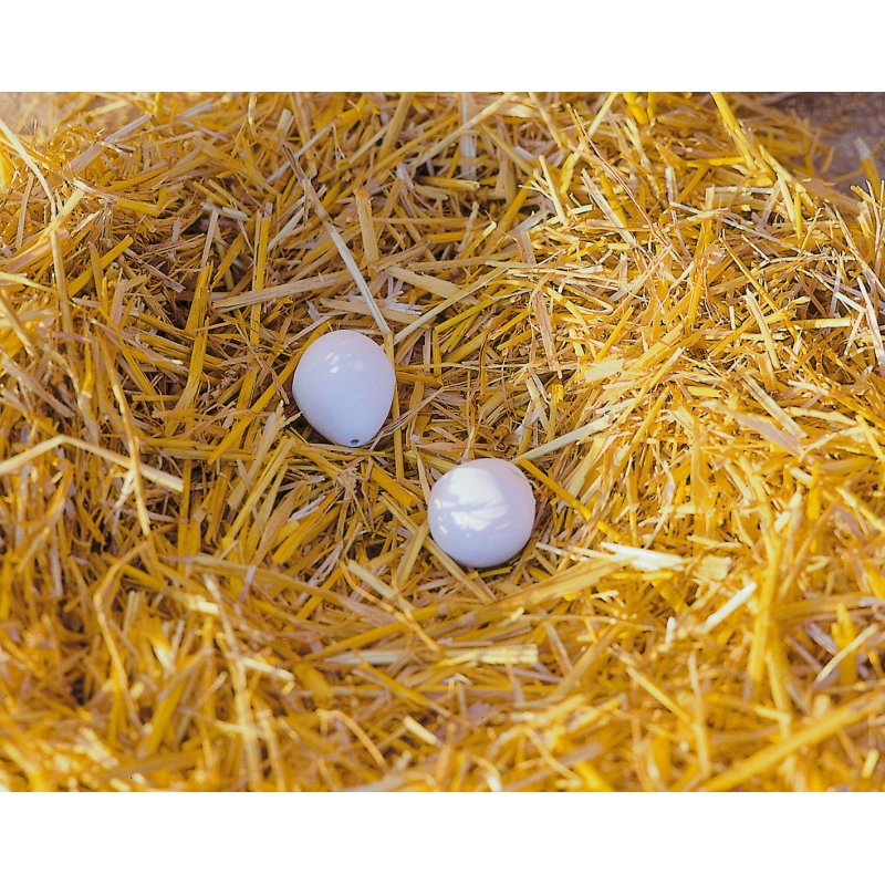 Oeuf  factices en argile 2 pi&egrave;ces - 73004-2