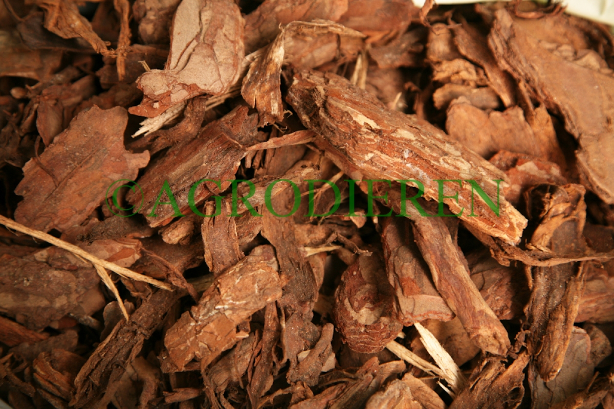 Mulchmateriaal: schorsmulch, dennenmulch & co. in vergelijking - Agri World