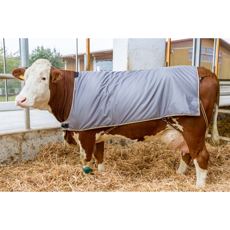 Cow blanket, 175 cm - 1548