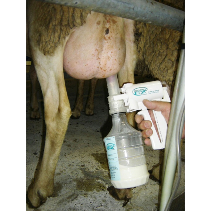 T&eacute;tine de rechange pompe &agrave; lait agneau - 27608