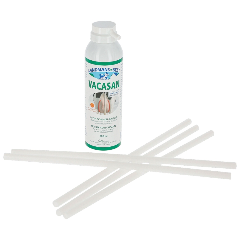 Mousse de soins Vagizan 200 ml - 15296