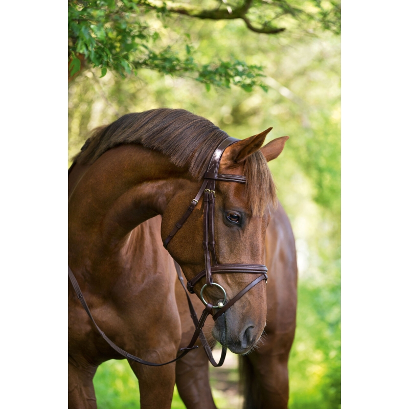 Trenshoofdstel Classic Leder, bruin, volbloed - 324912