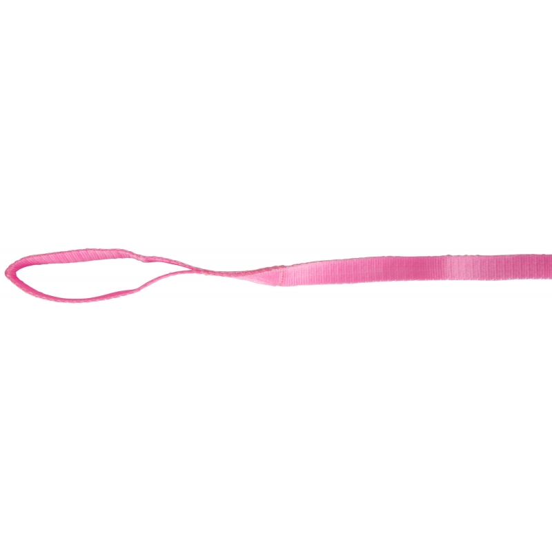 Leidlijn met ketting, roze 250cm - 328656