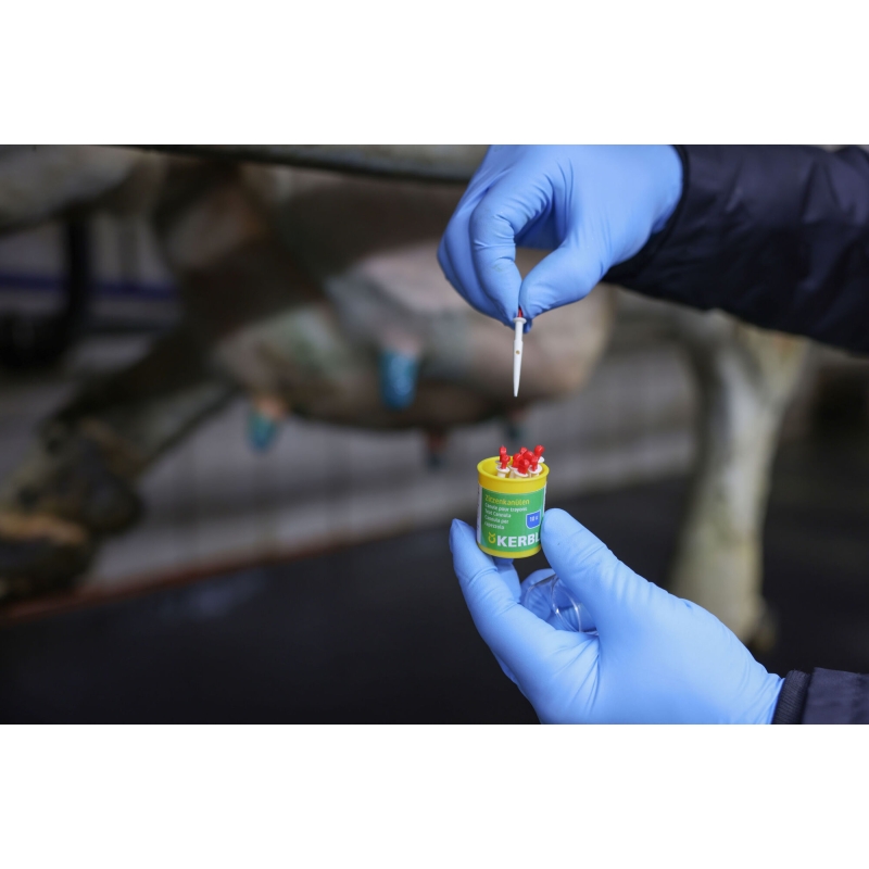 Canule pour trayon PVC par 10 - 1537