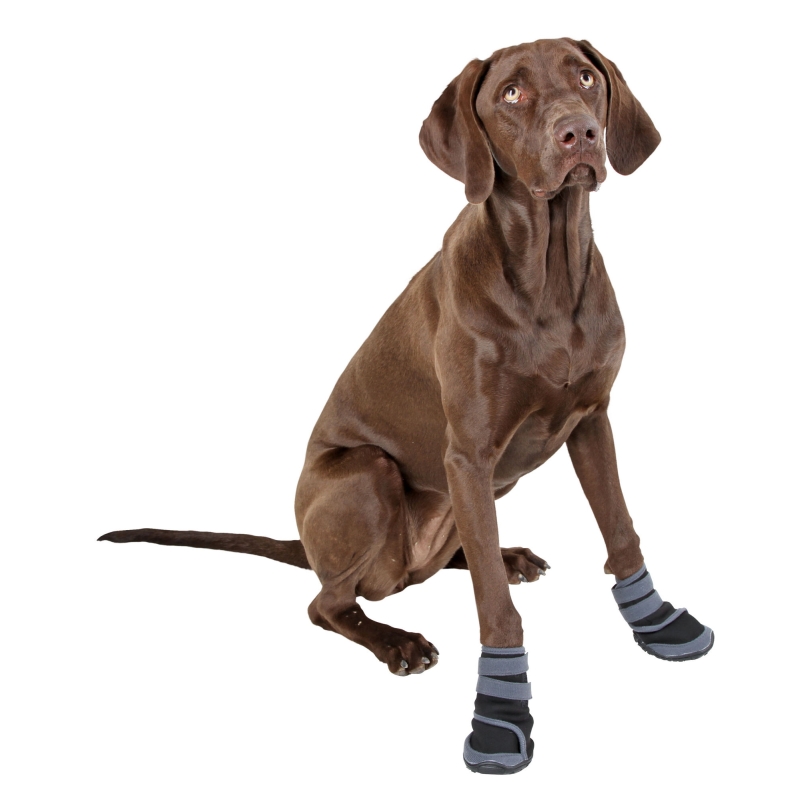 Protection pour chien Active gris-noir, L - 80607
