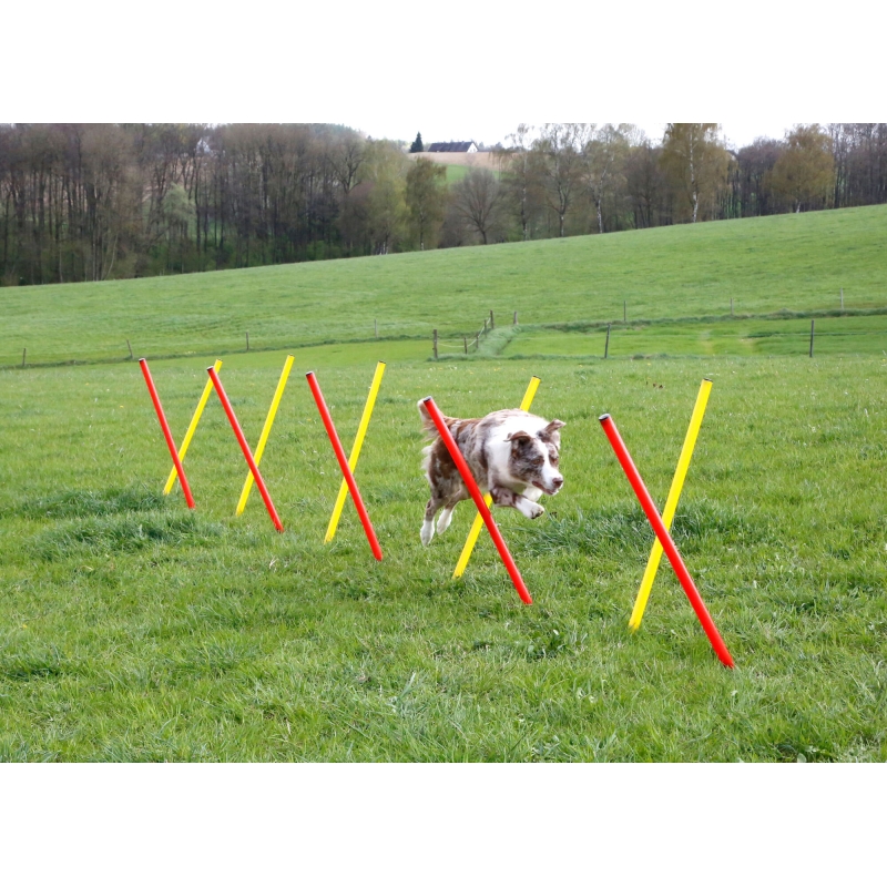 Agility, volledige set 3-delig, rood-geel - 80758
