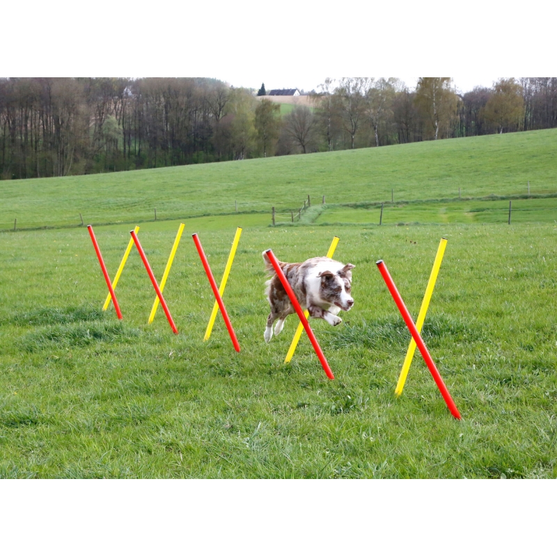 Kit complet Agility - 80758