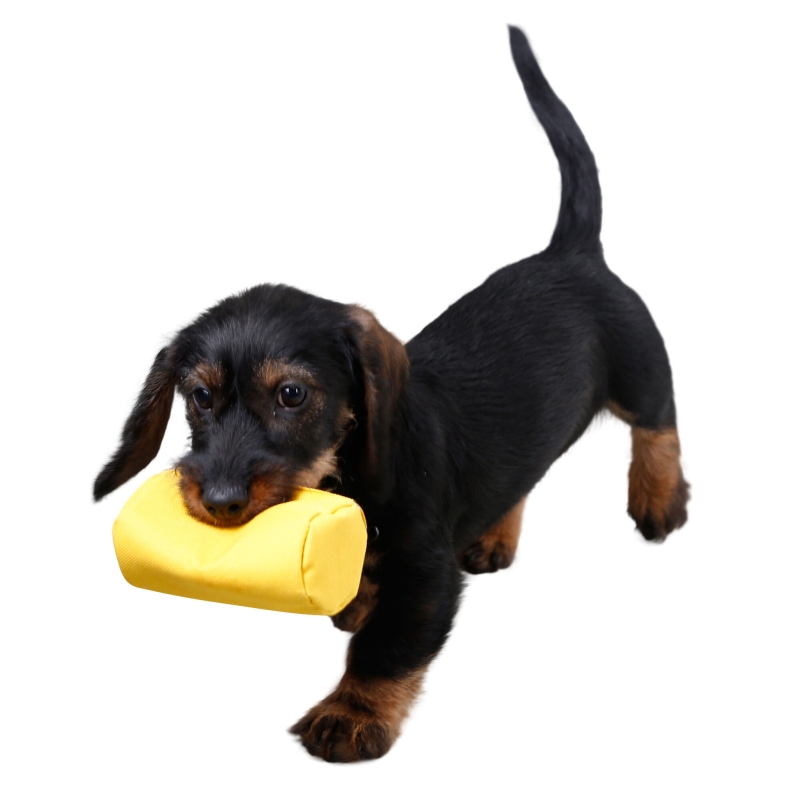 Snack-Dummy, 10x5cm, gelb - 80771