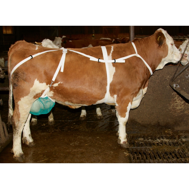 Filet vert avec ceinture grand - 1568