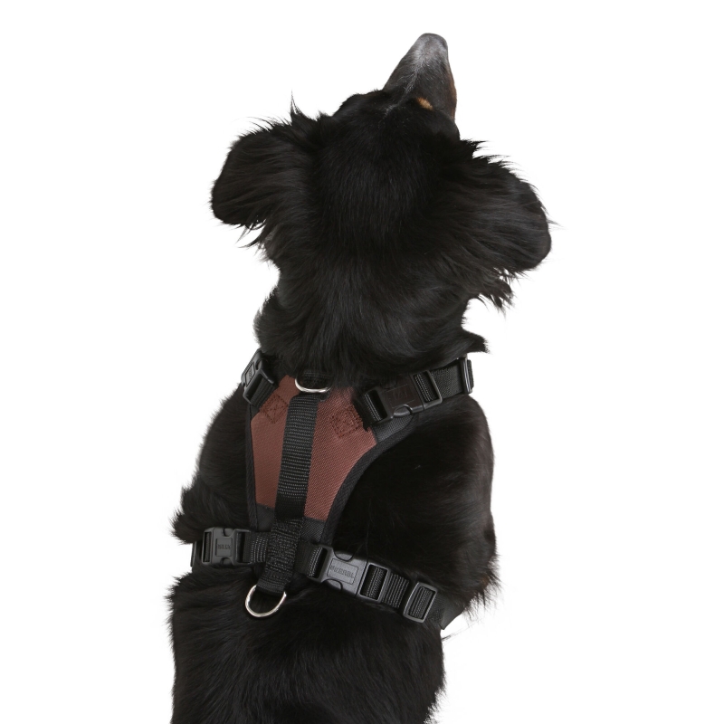 Hondentuig Pulsive, bruin, 50-62cm, 56-74cm - 81020