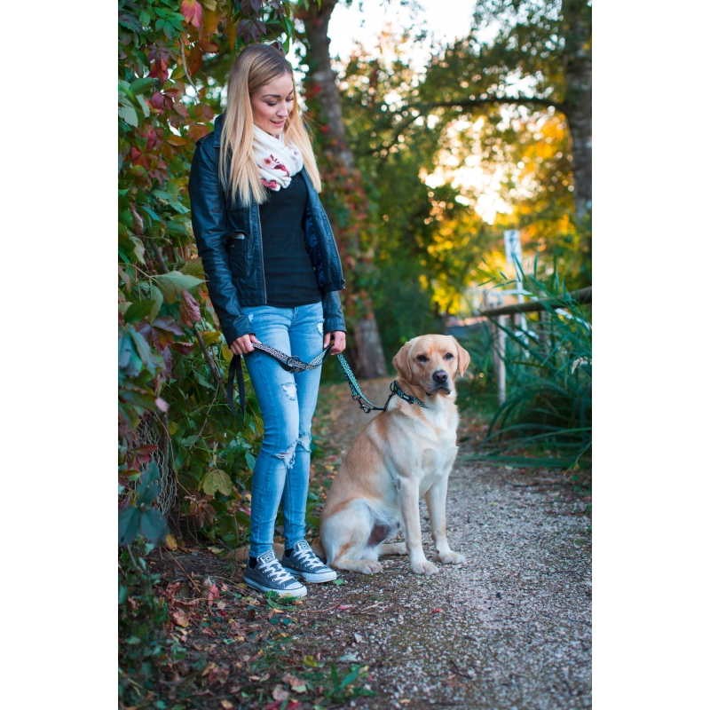 Laisse longue pour chien Shiny Night, 20mmx200cm - 81051