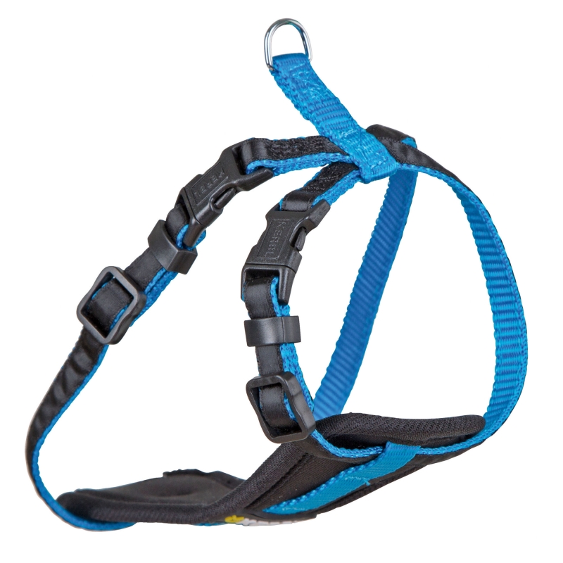 Tuig voor kleine honden S, neon blauw - 81065