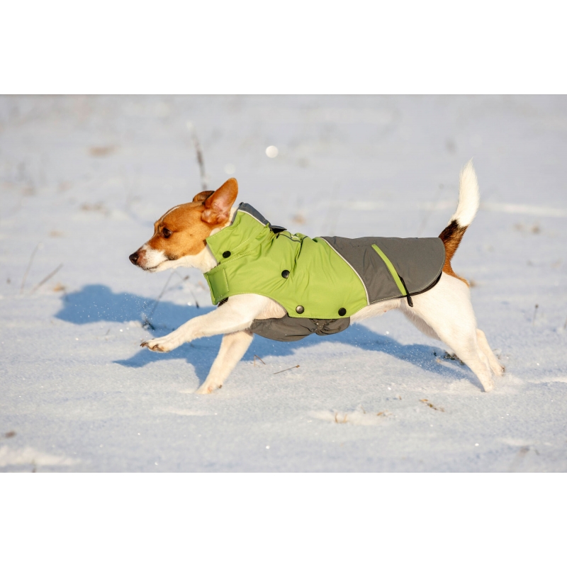 Manteau pour chien Vancouver gris-vert, XS, 30 cm - 81406